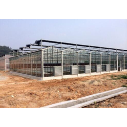 青州鑫华生态农业科技(图)|日光温室|临汾温室