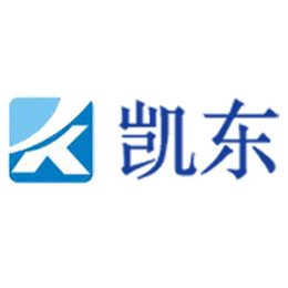 广州市高新技术企业认定-凯东知识产权