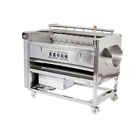 超声波洗菜机-真富祥机械公司(图)-超声波洗菜机生产厂家