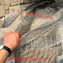 不锈钢绳网 异行网制品 金属网制品   