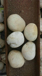批发鹅卵石|秦皇岛鹅卵石|*石材(查看)
