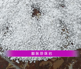 新疆保温砂浆-华鑫保温-保温砂浆的市场