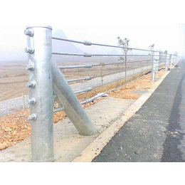 景区缆索护栏优点|威友丝网|广西景区缆索护栏