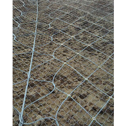 西藏边坡防护网,边坡网,山体边坡防护网