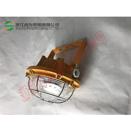 SW7151LED泛光灯Exd2CT6_尚为SW7151缩略图