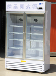 盛世凯迪制冷设备销售(图)-药品冷藏柜定做-西安药品冷藏柜