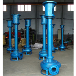 CNL型*立式抽沙泵厂家价格 污泥泵价格单