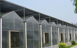阳光板温室降温系统、阳光板温室、齐鑫温室园艺(图)