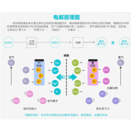 浙江水素水水机批发厂家富氢水素水批发价格