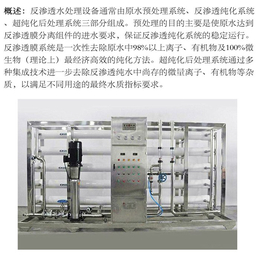 0.5吨工业纯水设备、山东索爱特(在线咨询)、纯水设备