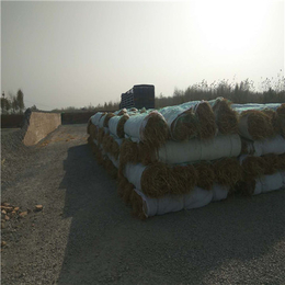 大同*河道护坡环保材料 椰纤毯 护坡草毯 生态*绿化