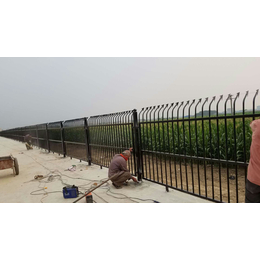 河北保定铁艺围墙护栏铁艺栅栏生产厂家