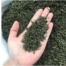 深加工原料绿茶*-峰峰茶业—厂家*-宁波深加工原料绿茶
