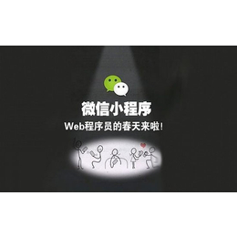 小程序崛起代理_南宁小程序崛起_广西羊驼传媒(查看)