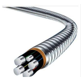 铝合金铠装电缆-重庆世达电线电缆有限公司-铝合金电缆