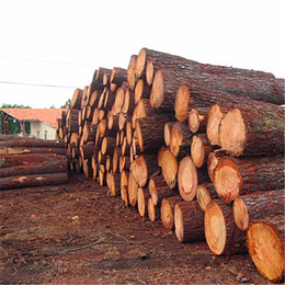 衡水辐射松木方、恒豪木材加工、销售辐射松木方