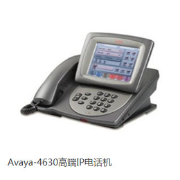 嘉峪关Avaya-4630****IP电话机
