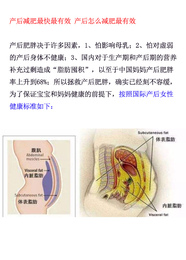 产后-产后肚子赘肉怎么减-产后恢复肚子****v佳时间