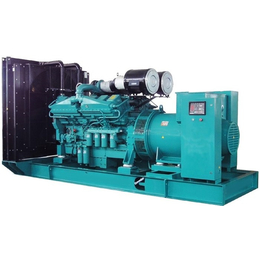 白山柴油发电机组-济南瓦特-柴油发电机组配件