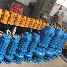 自动搅匀潜水泵-萍乡潜污泵-无堵塞潜污泵型号