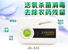 广州  斯特亨JQ-522*果蔬净化机缩略图