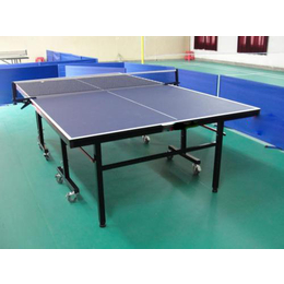 学校用乒乓球台价格|益泰体育(在线咨询)|陇南乒乓球台