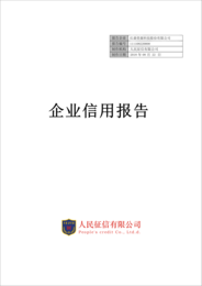 石家庄招*信用报告 政X采购信用报告 公共资源交易信用报告缩略图