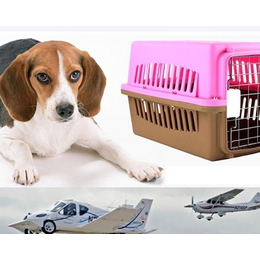 宠物托运公司、天地通航空运输、榆次宠物托运公司