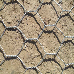 石笼网垫材质-朝阳石笼网垫-天阔筛网