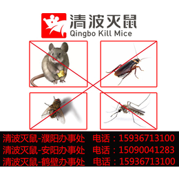 那里有灭老鼠公司、灭老鼠、清波灭鼠公司(查看)