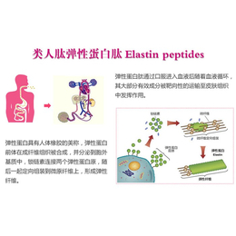 埋线|类人肽|脸上埋线是什么