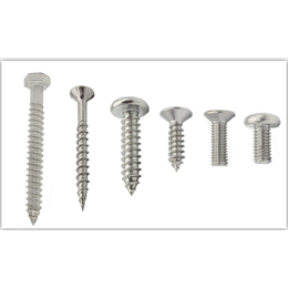 木塑板螺钉生产厂家、木塑板螺钉、不锈钢塑木板螺钉(图)