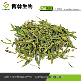 抹茶粉、茶、西安博林生物提取物