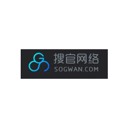 上海搜*络科技SEO优化项目分类你知道吗