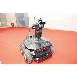 智能巡逻机器*量 巡逻机器人价格 卡特智能巡逻机器人*