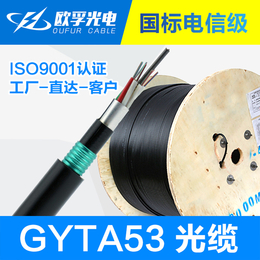 欧孚光缆厂家*gyta53光缆 24芯单模双开装直埋光缆缩略图