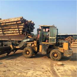 辐射松建筑方木加工|中林木业(在线咨询)|烟台辐射松建筑方木