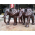 铜大象雕塑制作、新疆铜大象、博轩铜雕缩略图1