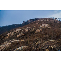 泰山区泰安桶装水-泰山一美-泰安桶装水供应商