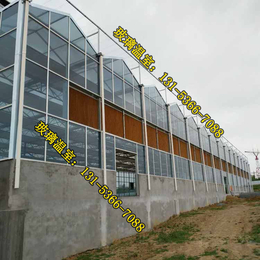 金盟温室、玻璃温室、农业观光玻璃温室