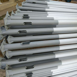 6米热镀锌喷塑灯杆灯柱 保定利祥定制生产 保质保量