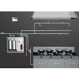 学校厨房灭火设备联系方式_合肥智科_合肥学校厨房灭火设备