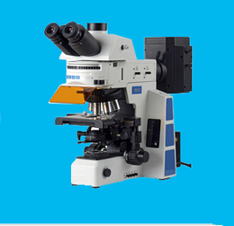 荧光显微镜-领卓-泉州荧光显微镜