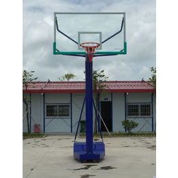 湛江金陵篮球架|永旺体育篮球架供应商(在线咨询)|篮球架
