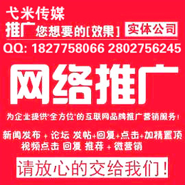 腾讯新浪搜狐凤凰网易光明环球中青中国日报北青网新闻发布