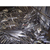 金华废铝回收- 苏州楚汉再生资源-*废铝回收厂家缩略图1