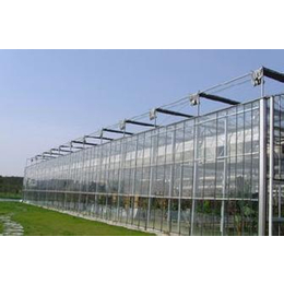 玻璃温室工程_辽宁玻璃温室_鑫和温室园艺公司