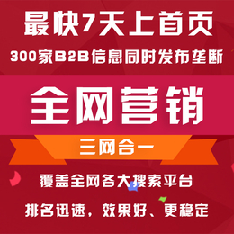 广州全网营销 霸屏推广 覆盖电脑端手机端 三大搜索引擎