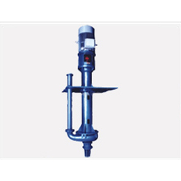 液下渣浆泵规格、南京液下渣浆泵、鸿达泵业(在线咨询)
