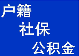 财务代账公司-华商社保(在线咨询)-云南财务代账